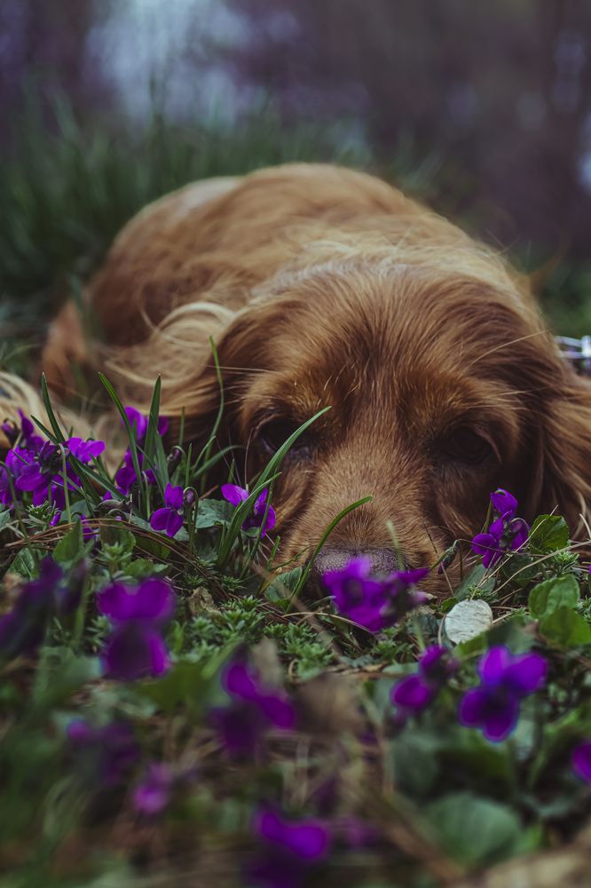 Photograph by Victoria Mogulyan