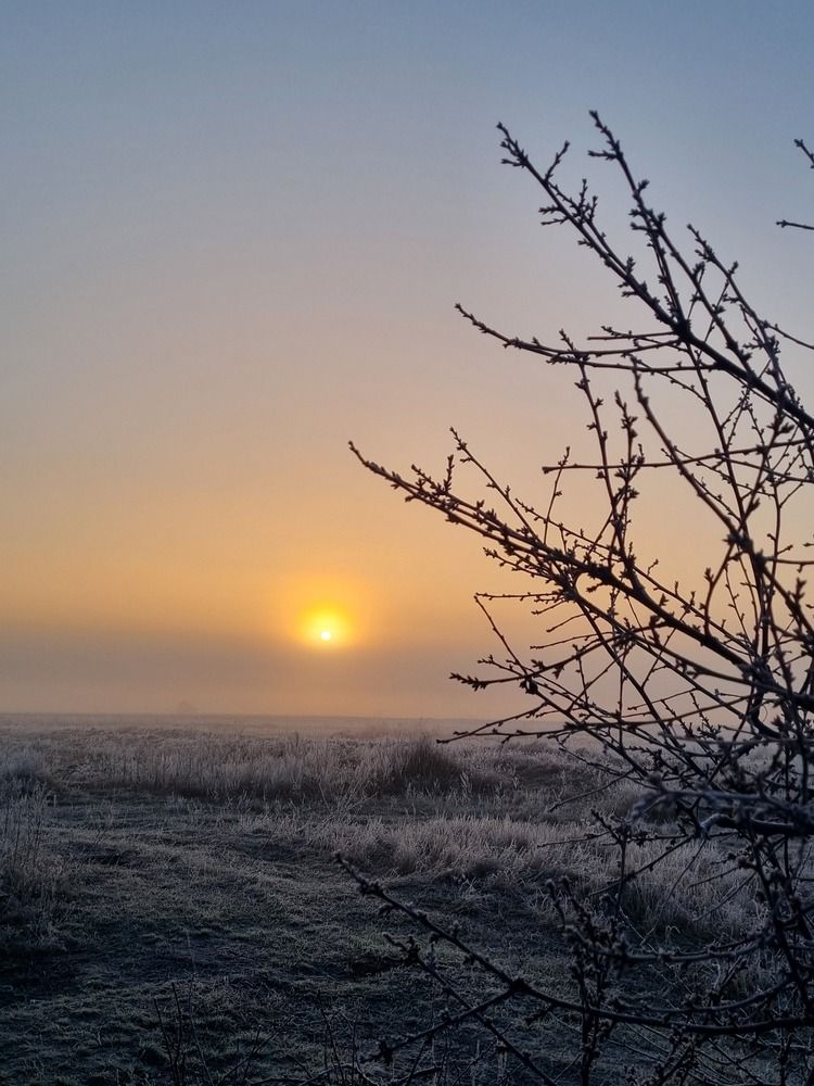 Photograph by Ирина Герлин