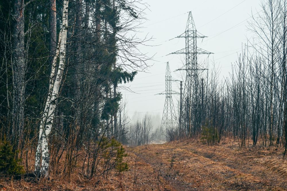 Фотография автора Irina Linina