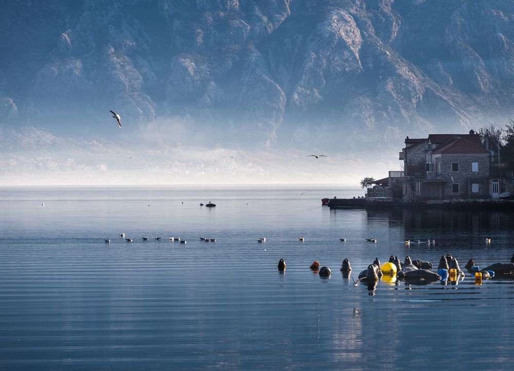 Photograph by Анна Стрелковская