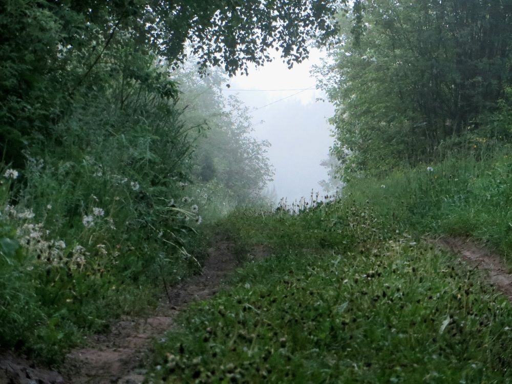 Photo #12102507