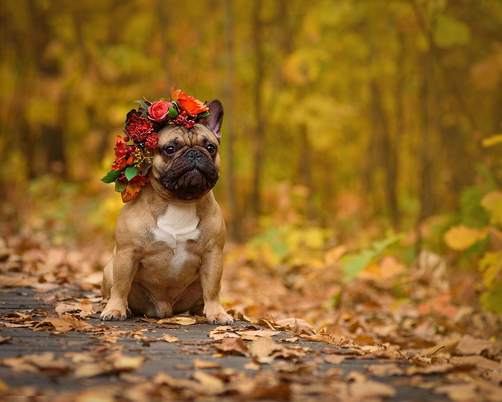 Photograph by Виктория Сафонова