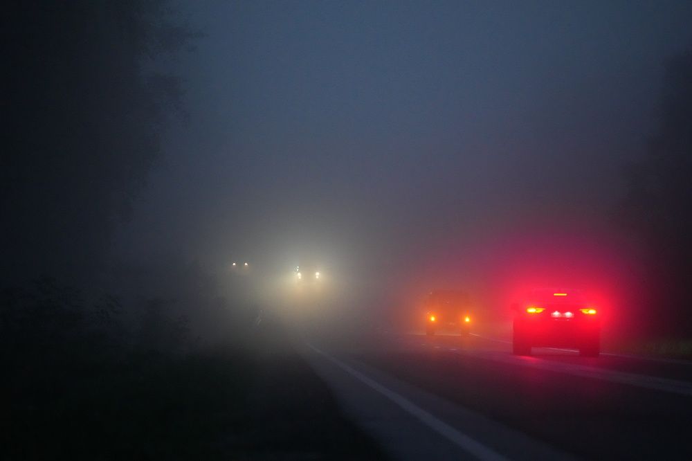 Photograph by Алексей Курносов