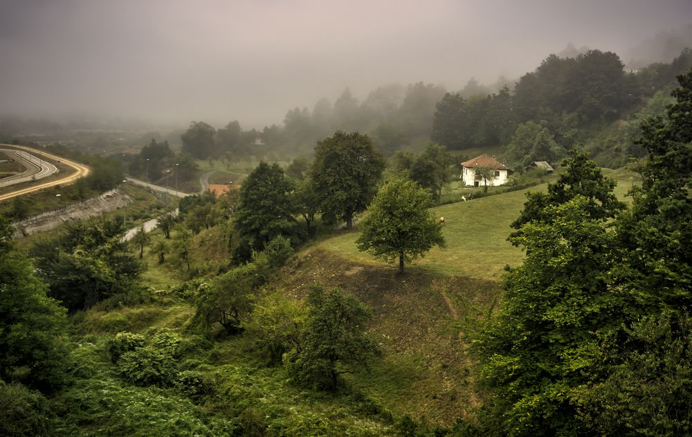 Фотография автора Milena Ivanova