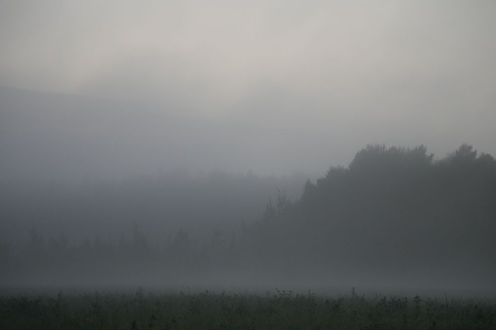 Photograph by Алексей Курносов