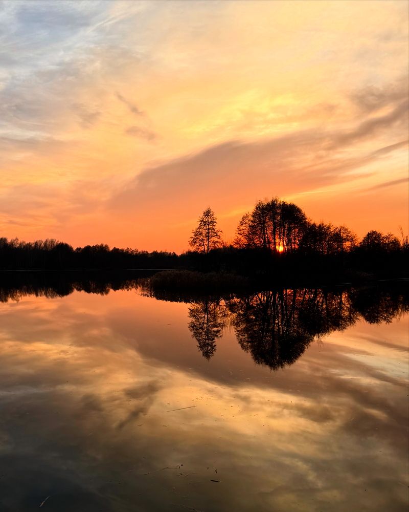 Photograph by Светлана Герасимук
