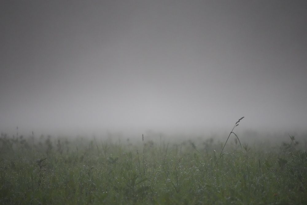 Photograph by Алексей Курносов