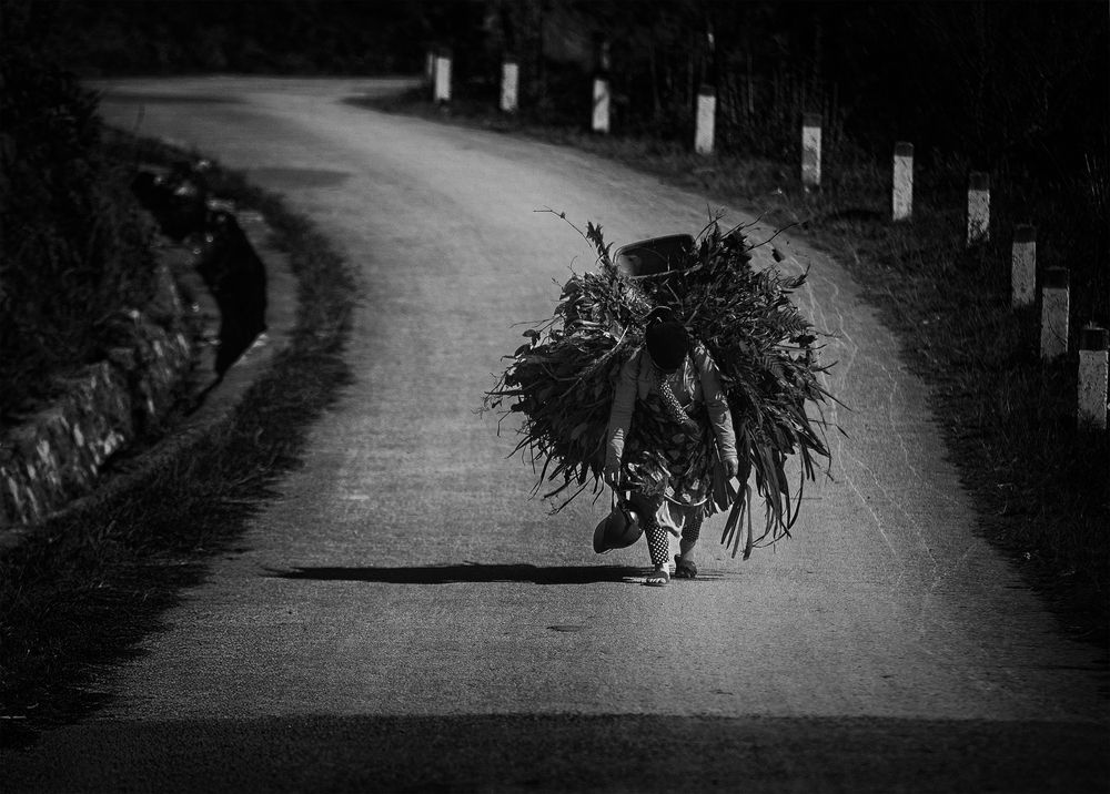 Photograph by Tran Linh