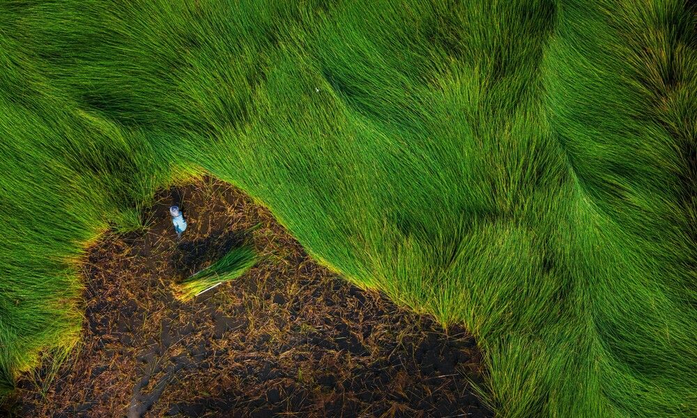 Photograph by May Nguyễn