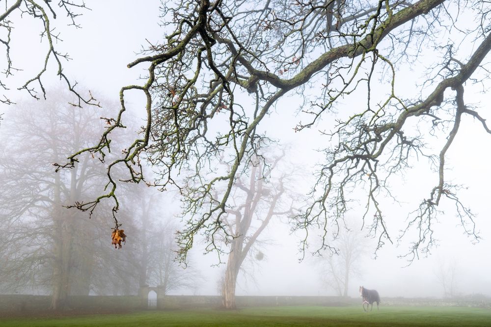Photograph by Дьяченко Алёна