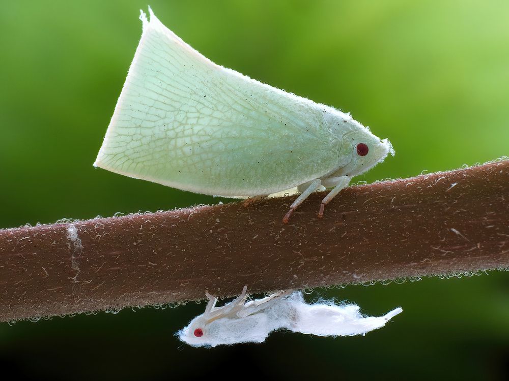 Photograph by Li Chen-You