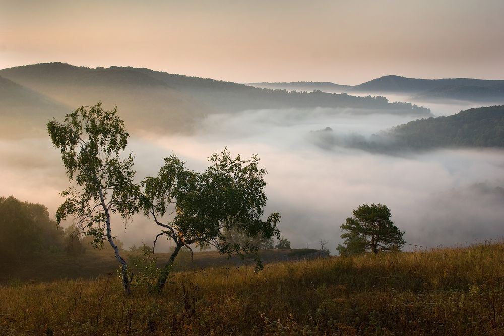 Фотография автора Грачёв Олег