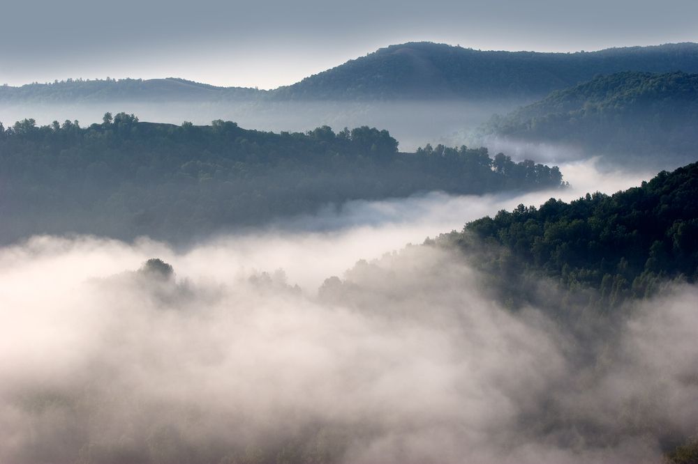 Фотография автора Грачёв Олег
