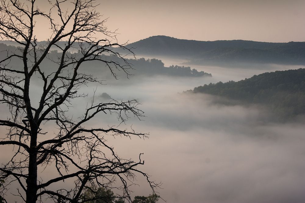 Фотография автора Грачёв Олег