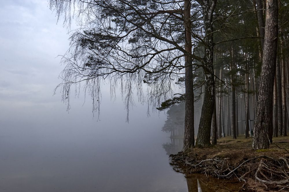 Photograph by Татьяна Полянская