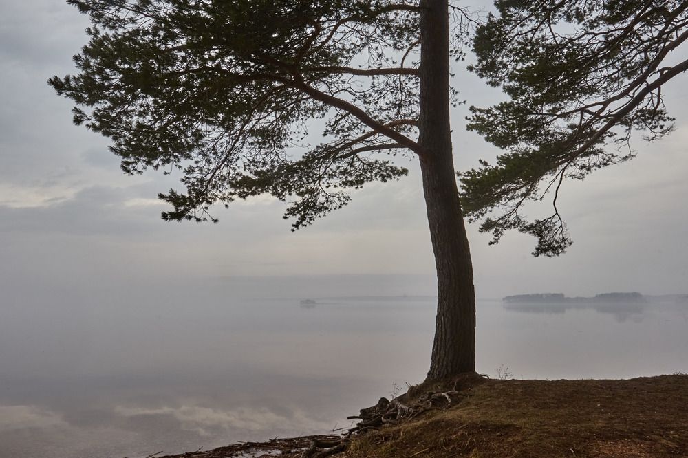 Photograph by Татьяна Полянская