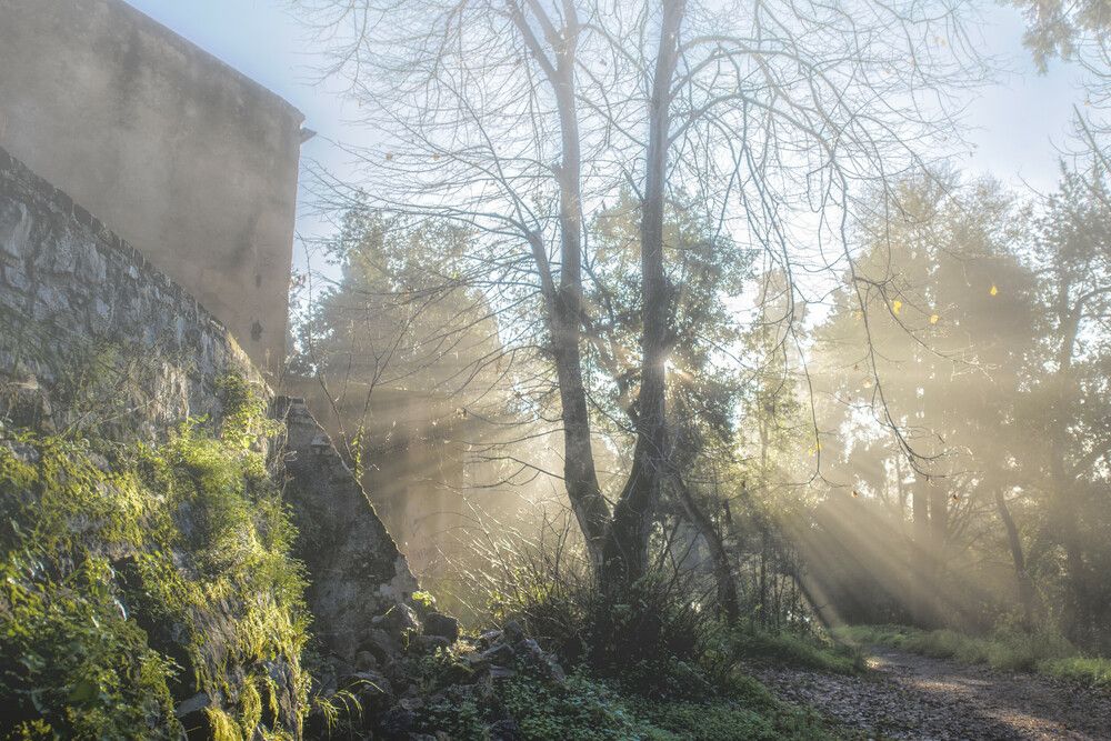 Photograph by Alexandros Melidis