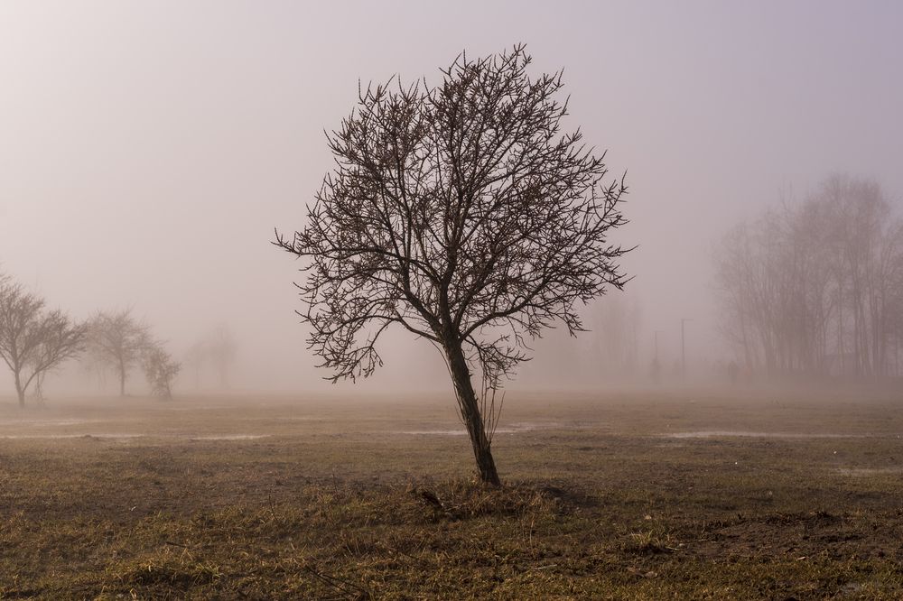 Photograph by Николай Литвак