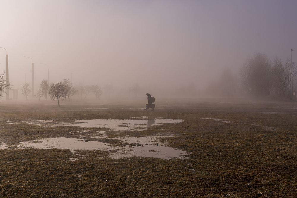 Photograph by Николай Литвак