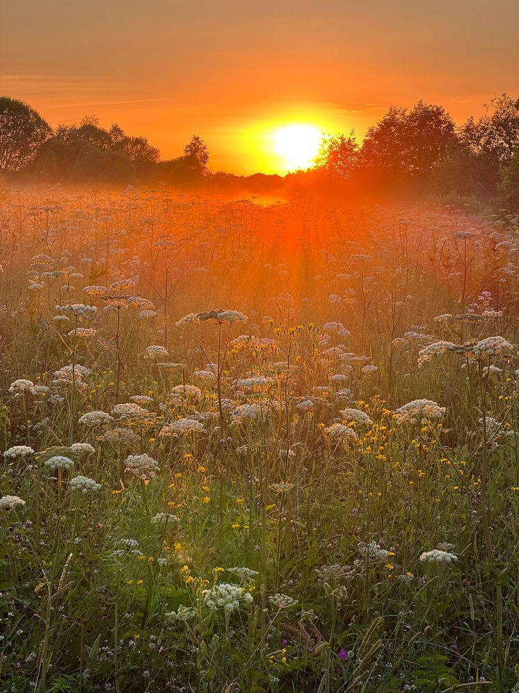 Photograph by Юлия Отставнова