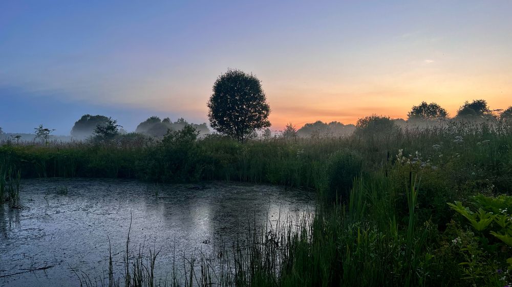 Photograph by Юлия Отставнова