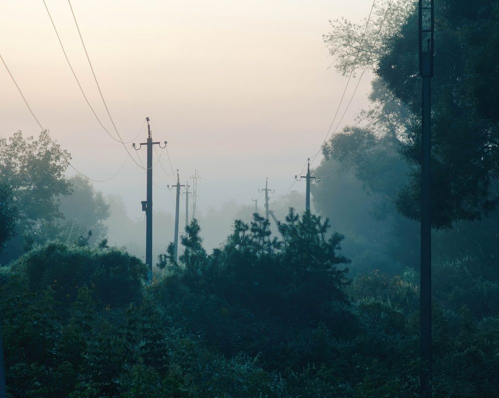 Фотография автора Алина Руденко