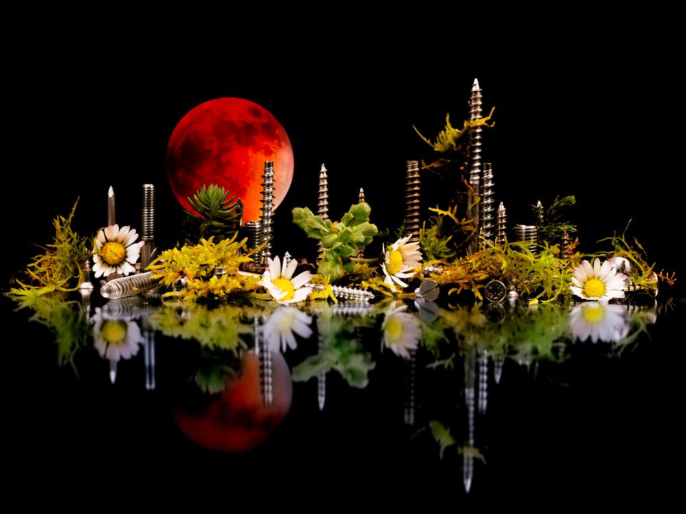 Photograph by Mélina Delbert