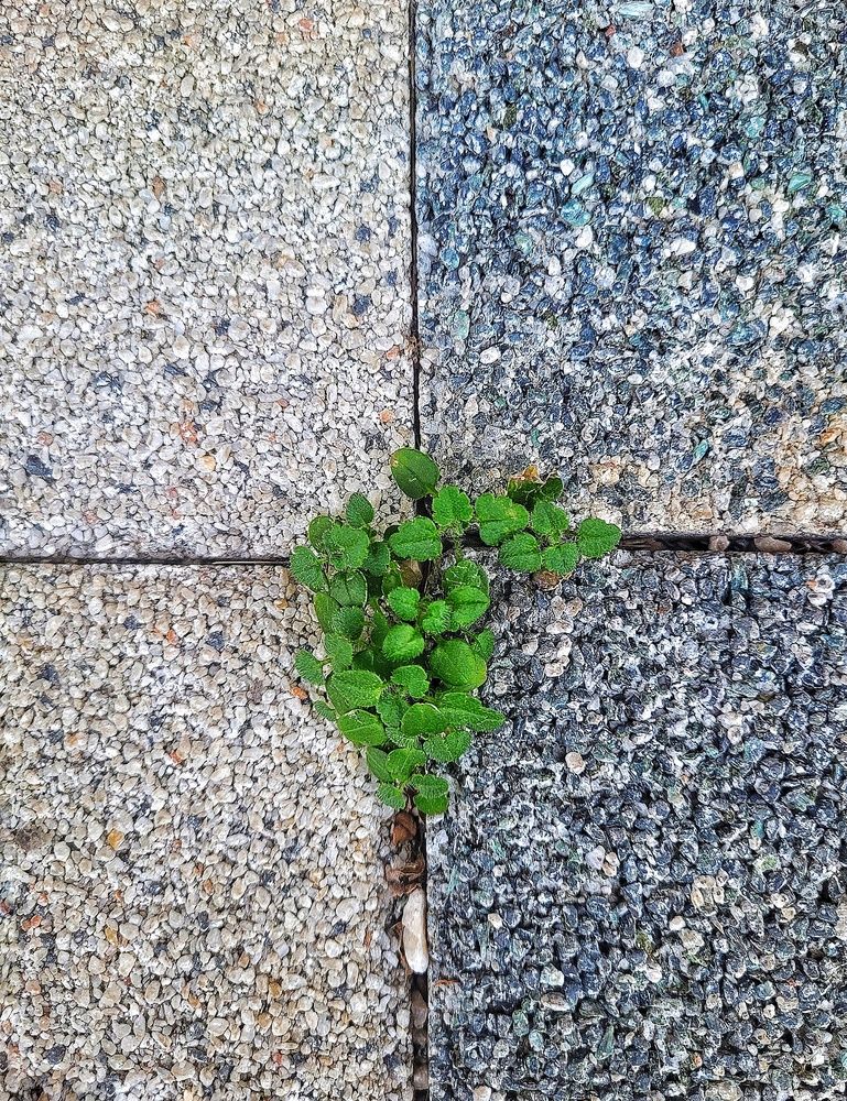 Photograph by Aleksandr