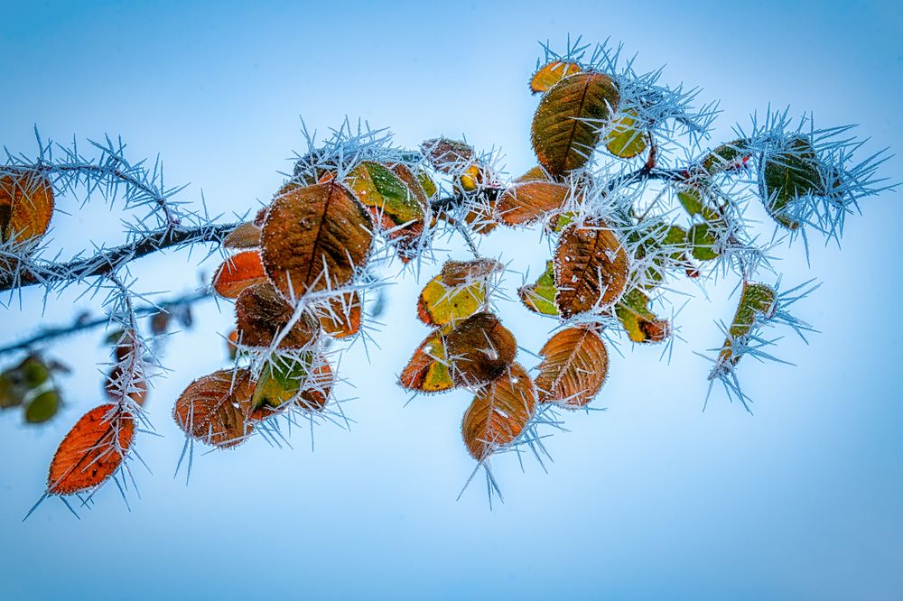 Photograph by Владимир Кваша