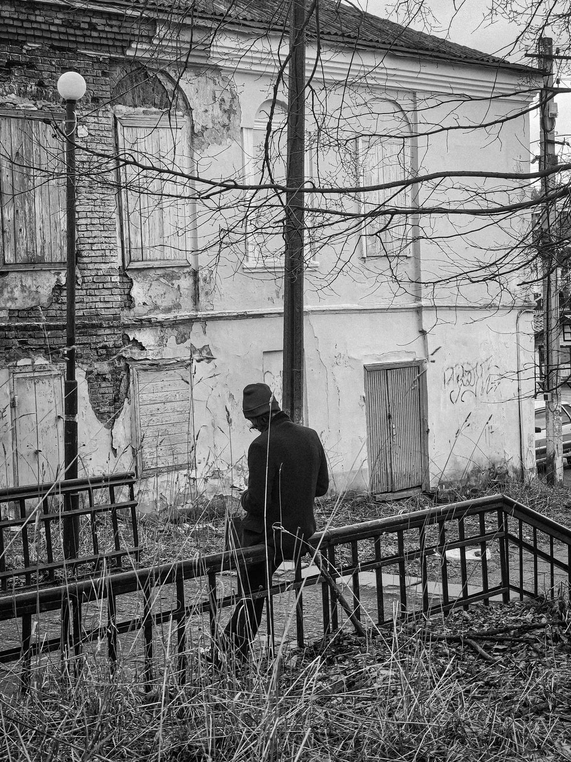 Photo #12103383