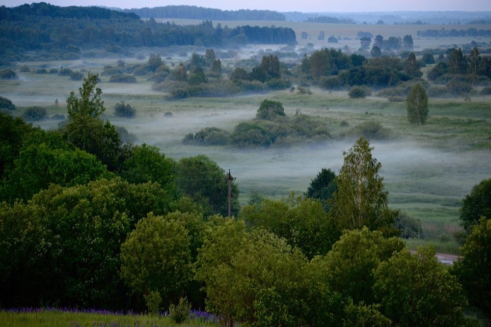 Фотография автора Алина Руденко