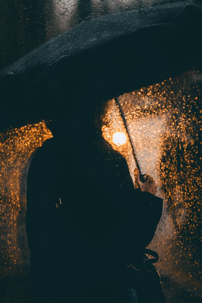 Photograph by Ilya Str