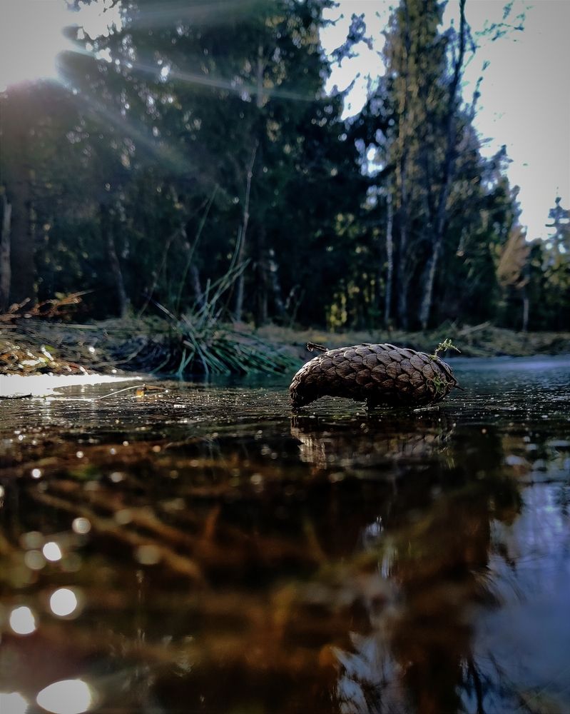 Photograph by Сергей Кулиев