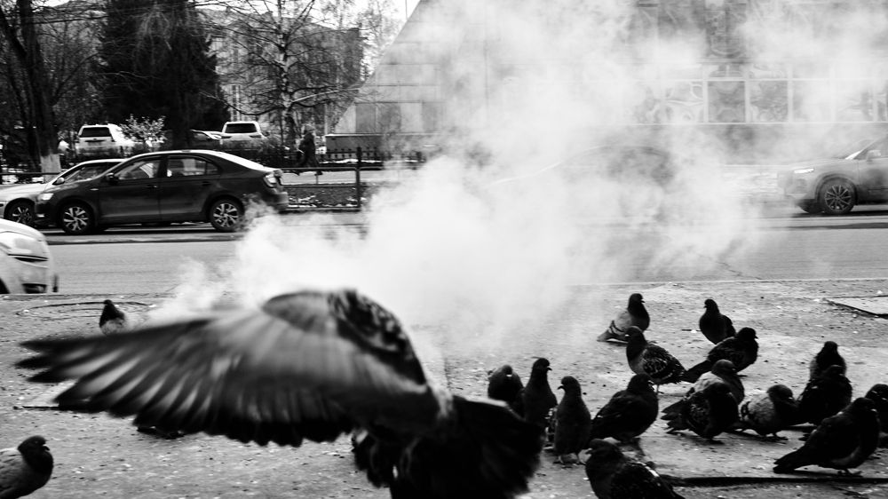 Photograph by Ласьков Евгений