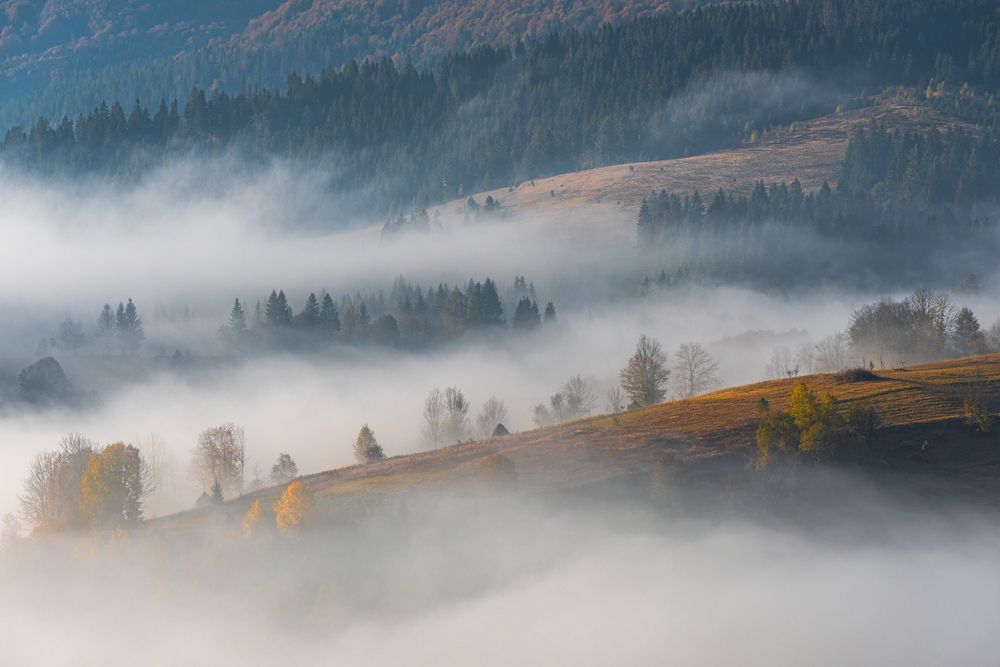 Photograph by Ольга Крицак