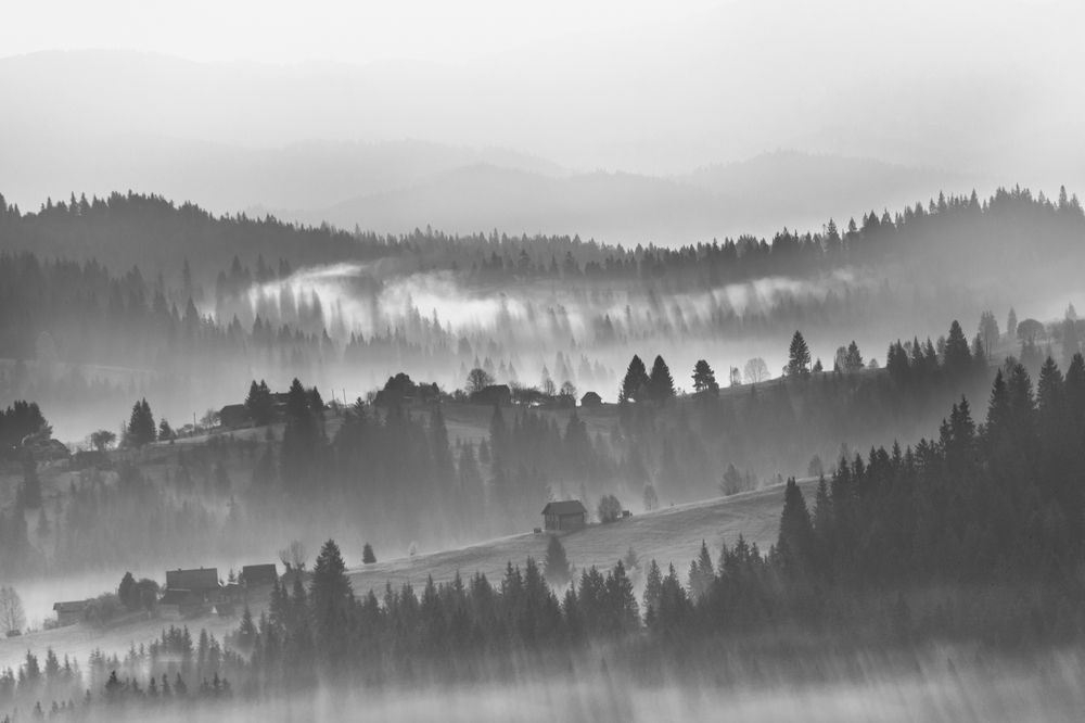 Photograph by Ольга Крицак