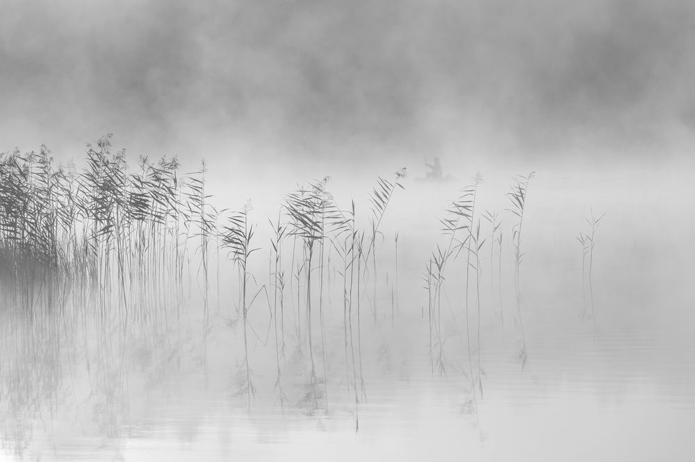 Photograph by Ольга Крицак