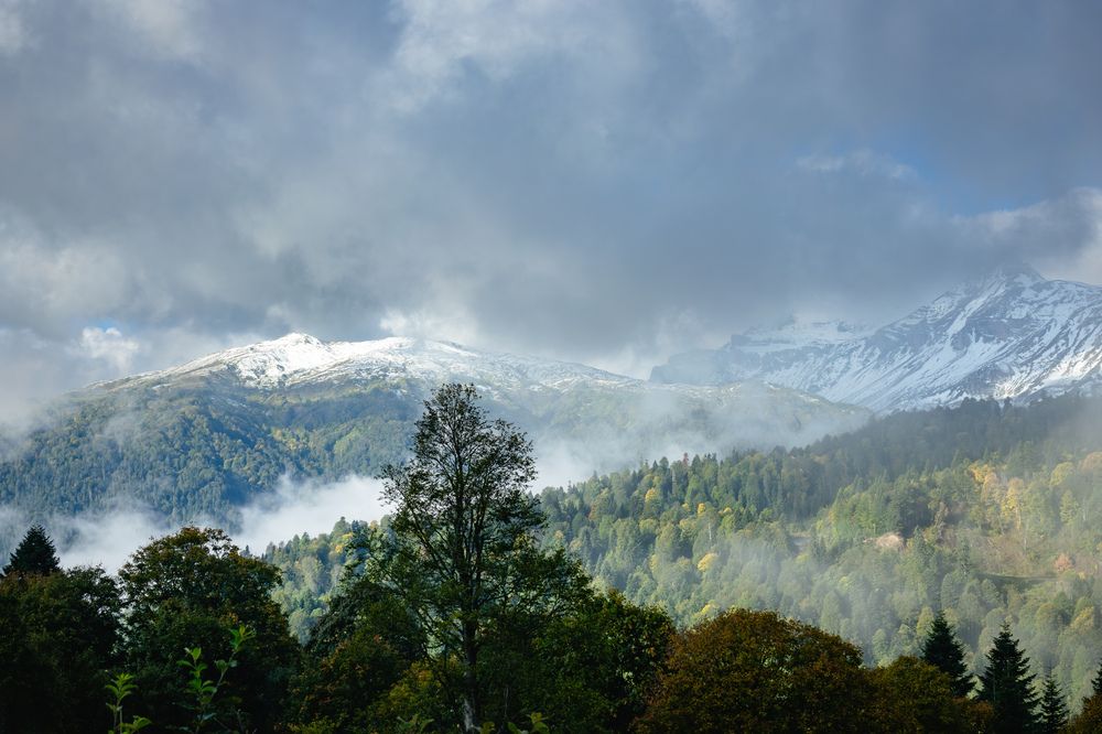 Photograph by Шишкалов Константин