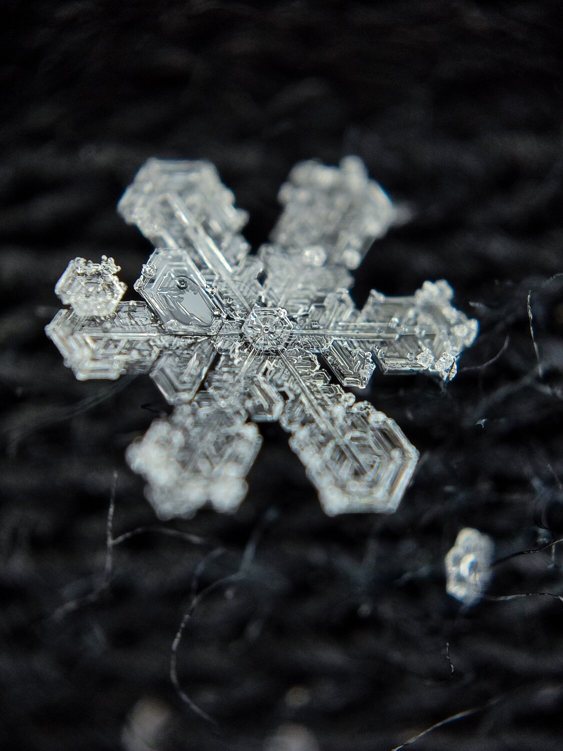 Photo #12103569