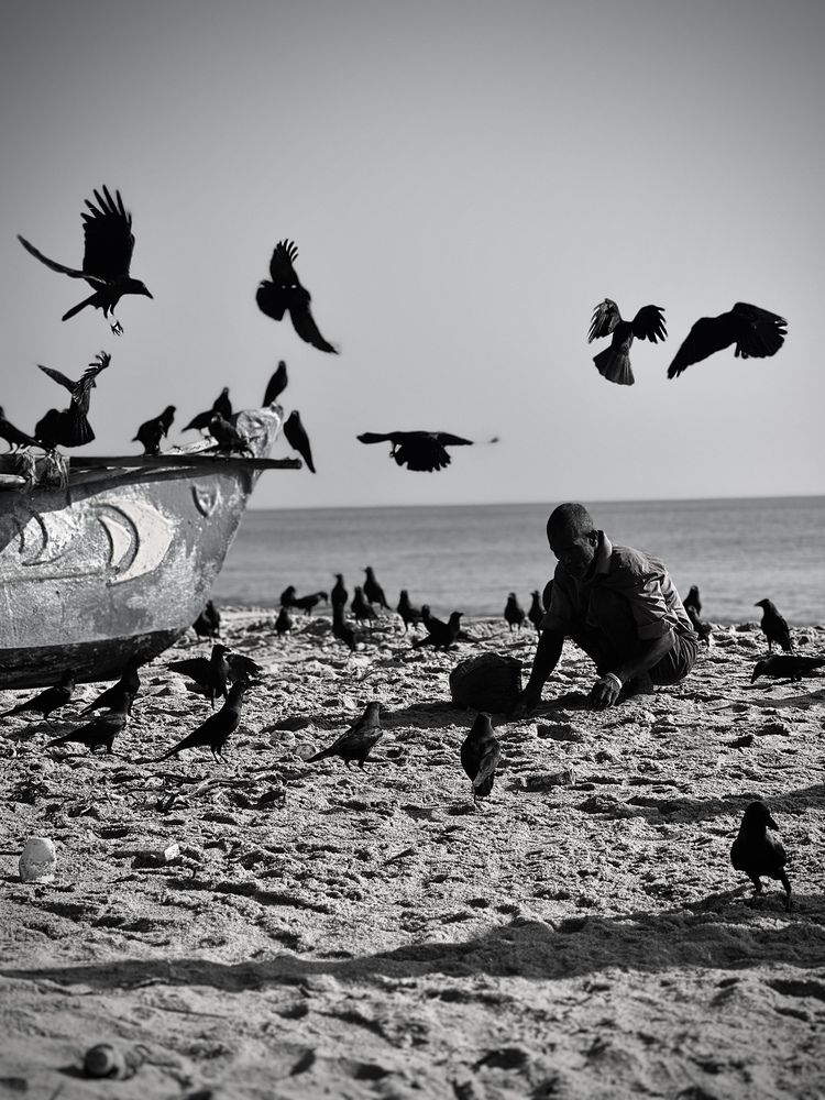 Фотография автора Sabeelan Thayanantharasa