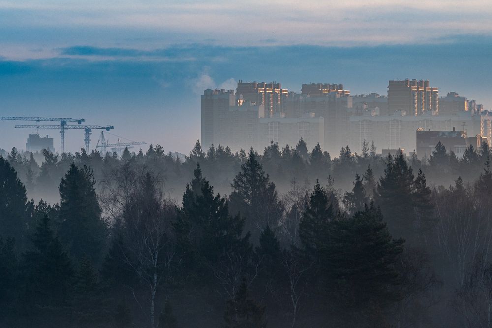 Фотография автора 
