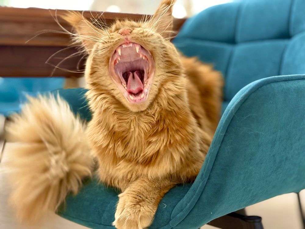 Фотография автора Мария