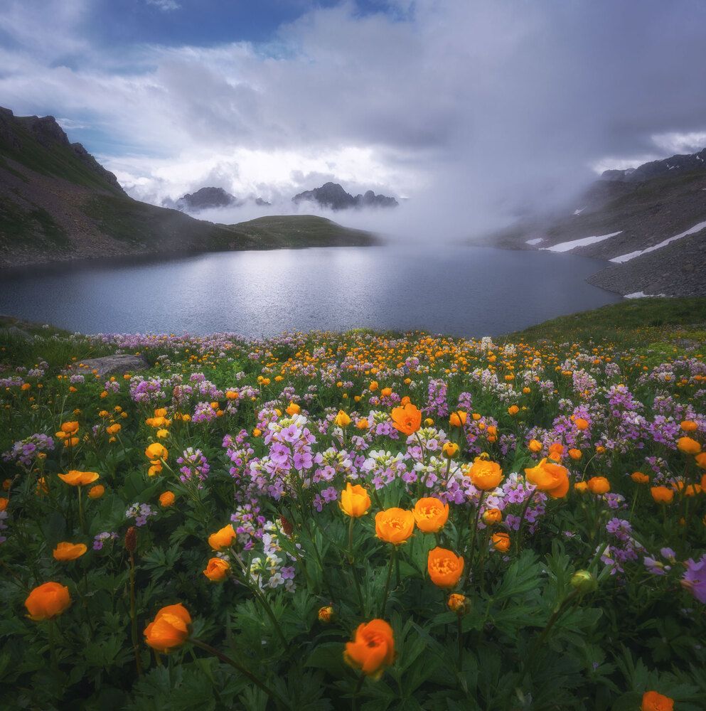 Photograph by Nargiza Kakharova