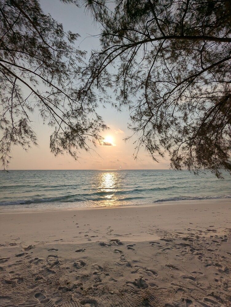 Фотография автора Елизавета