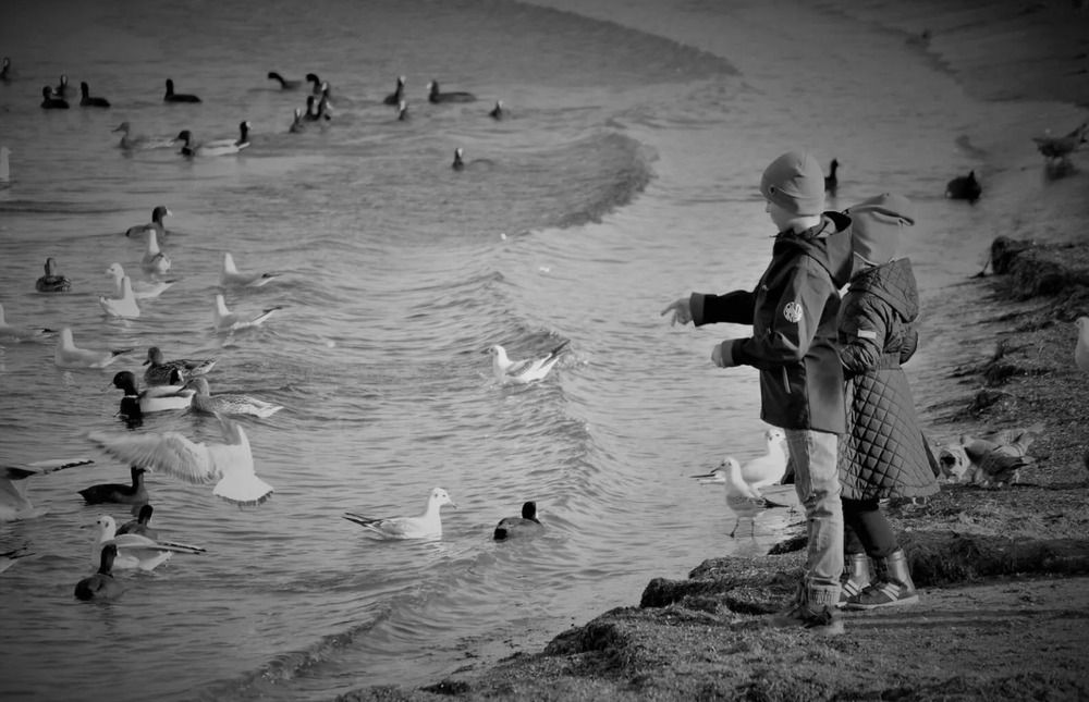 Photograph by Александр Беньковский