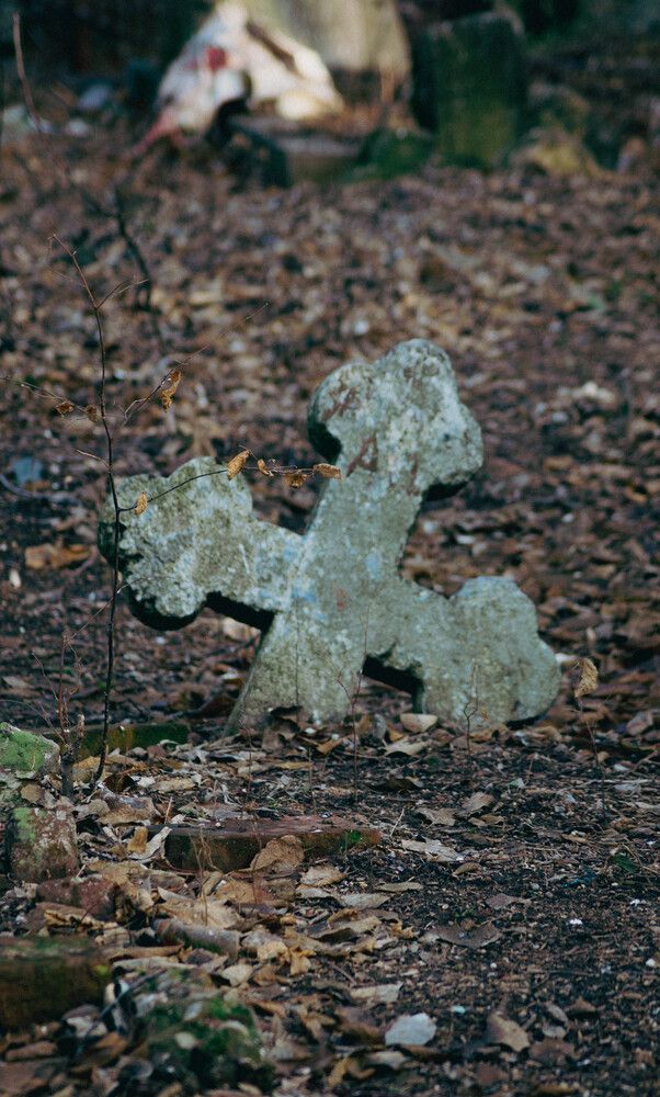 Photograph by Олег Гриценко