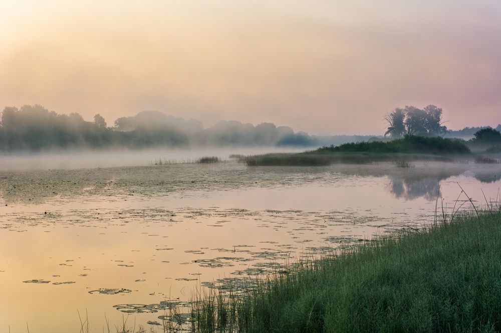 Photograph by Светлана Ващенко