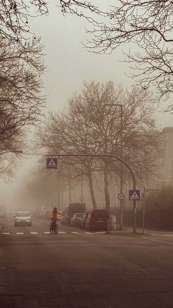 Photograph by Наталья Алфёрова