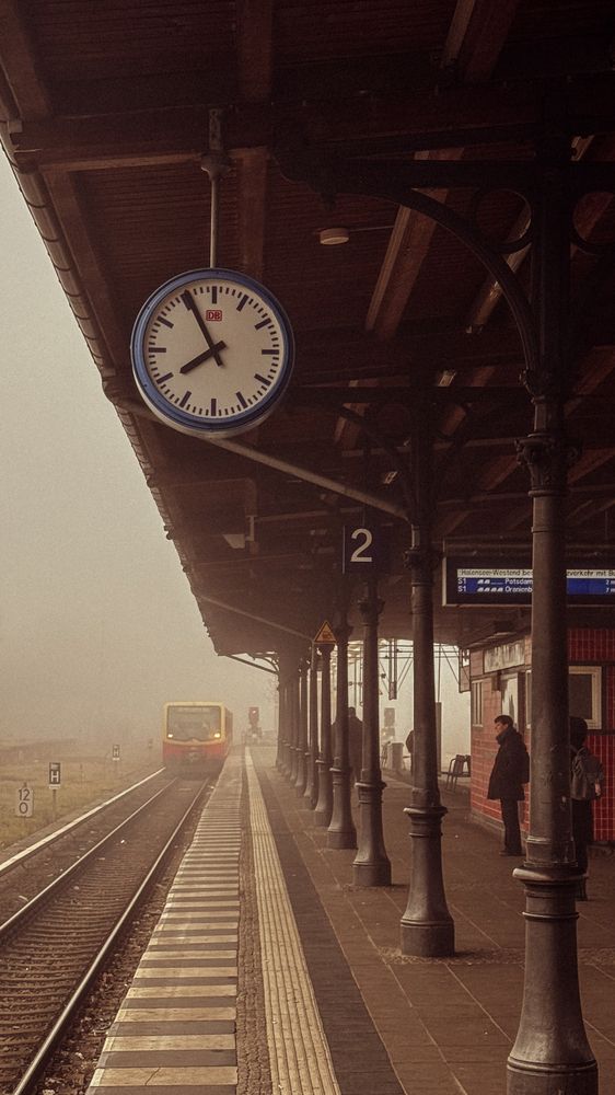 Photograph by Наталья Алфёрова