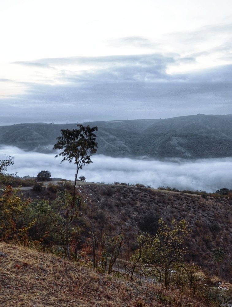 Photograph by Зыкова Мария